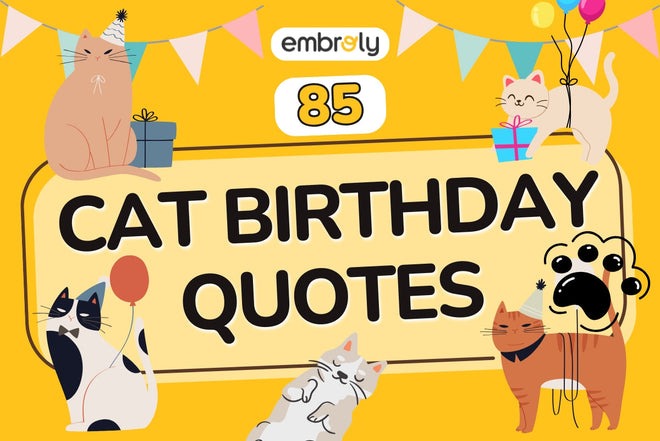 85 Purfect Cat Birthday Quotes, Messages & Captions